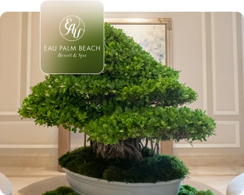 EAU PALM BEACH - THE POTS